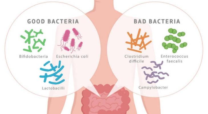 人体卫士和细菌大作战,人体卫士与细菌病毒大作战完整版