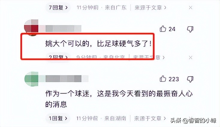 cba打假球的两个教练处理结果,cba男篮比赛结果