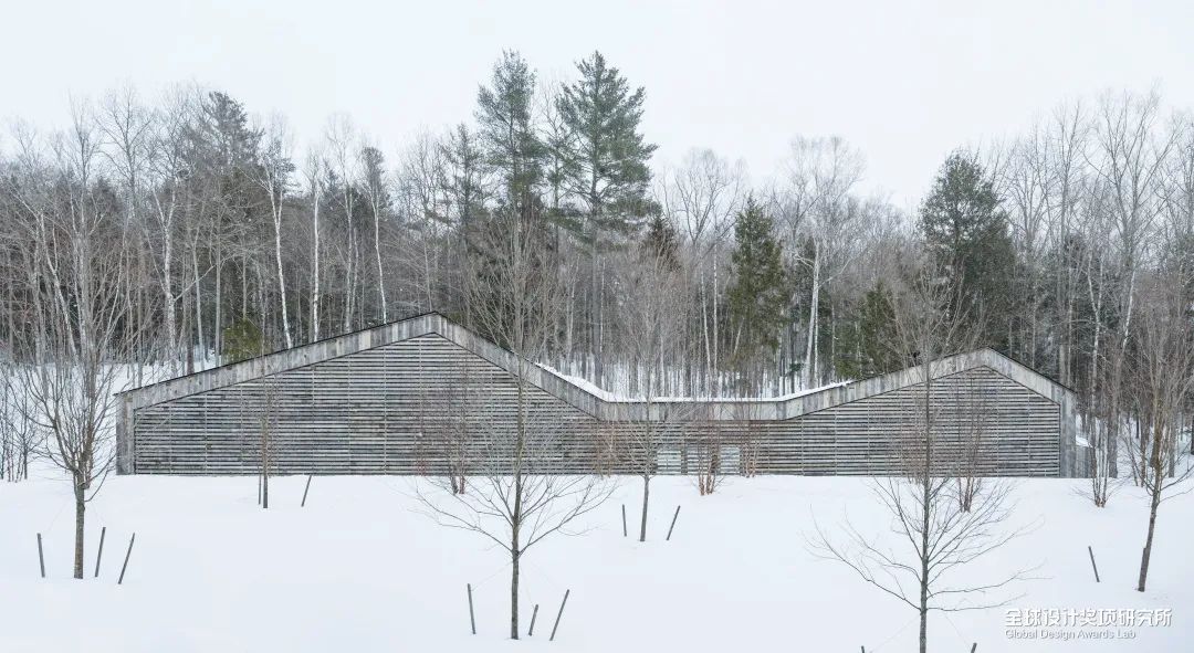 awards2018鑾峰鍚嶅崟,2019awards鑾峰鍚嶅崟