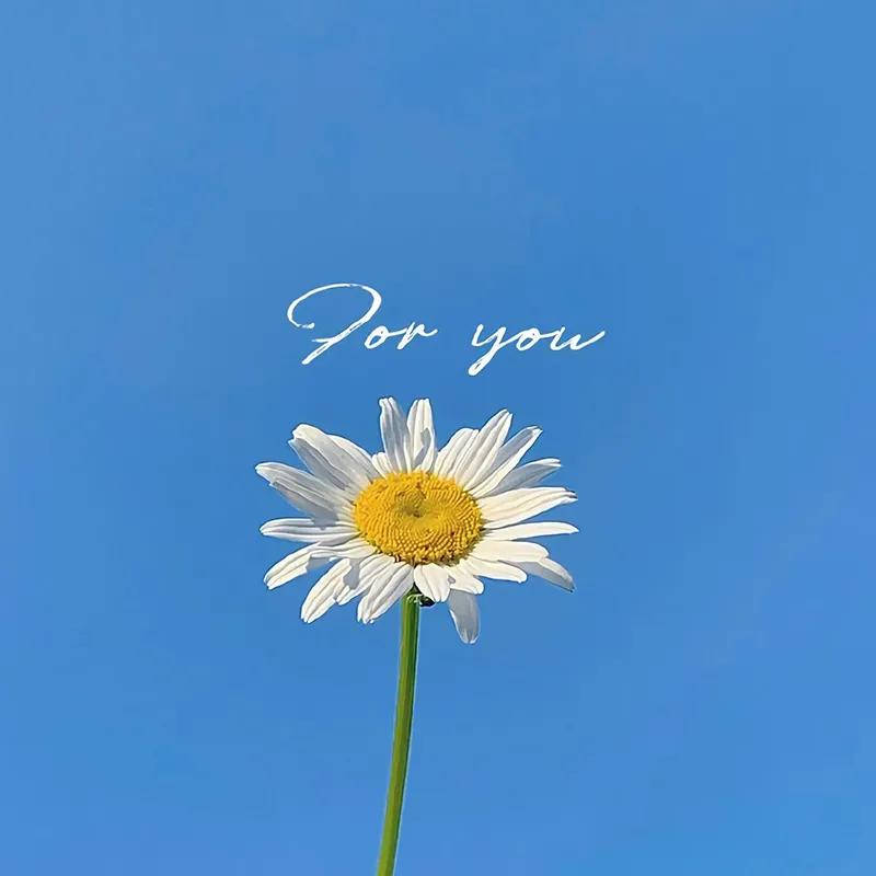 第二章财富的本质,第二章收入费用利润