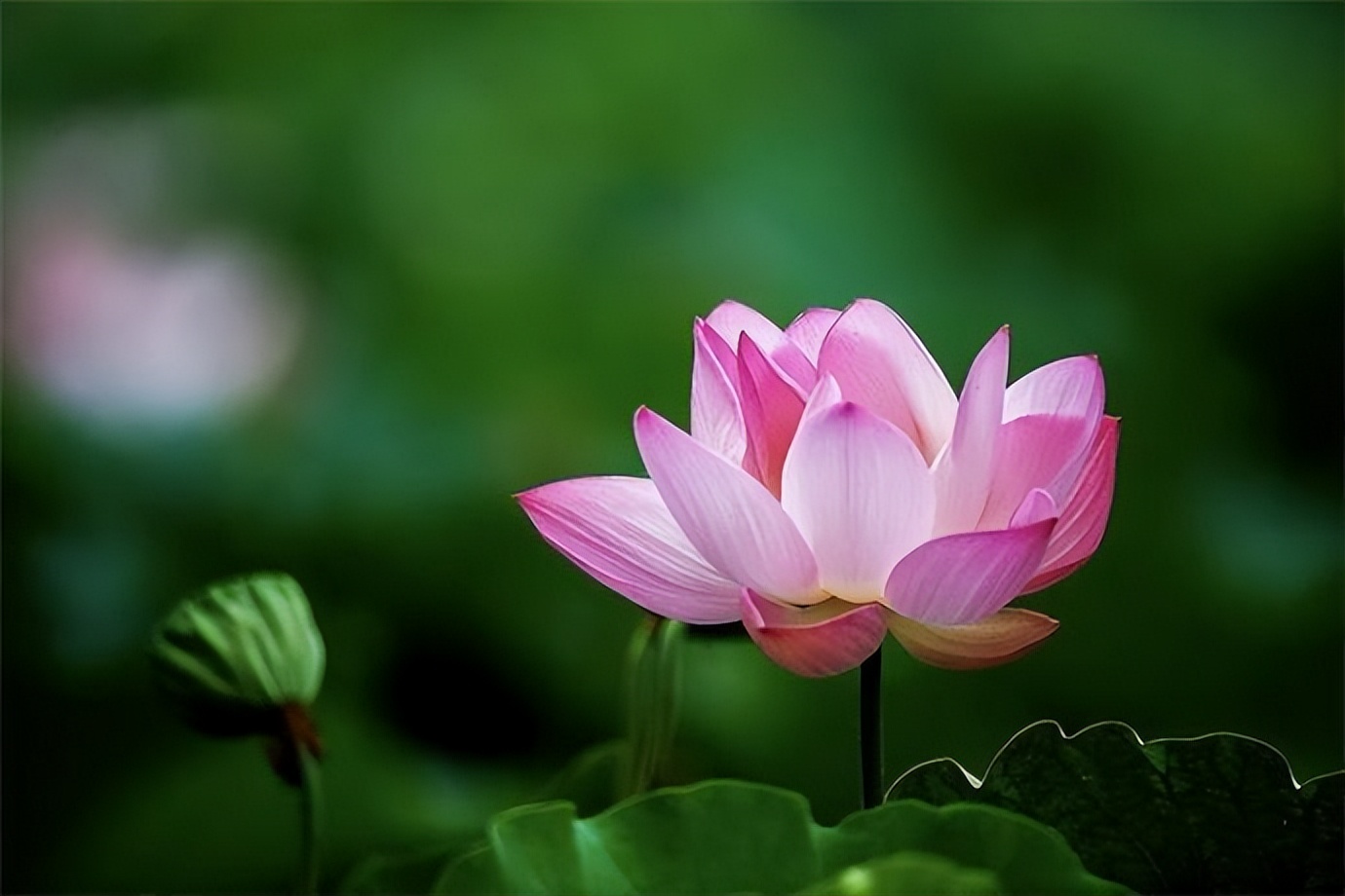 拥有大智慧的人,真正大智慧的人往往都很简单