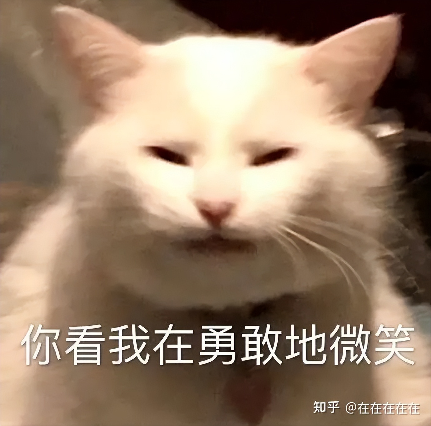 京东自杀式物流援沪，阿里副总裁连夜跑路