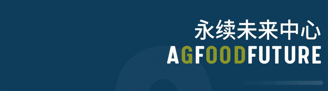 人造奶发展历史,人造奶中国什么时候上市