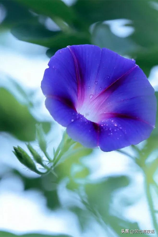 如何驱赶心中的恐惧,赶走焦虑好方法是什么