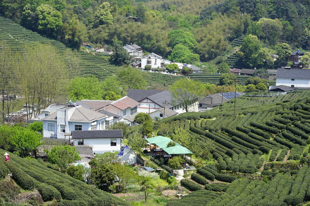 杭州景区简介杭州旅游景点大全,杭州游玩攻略必去十大景点