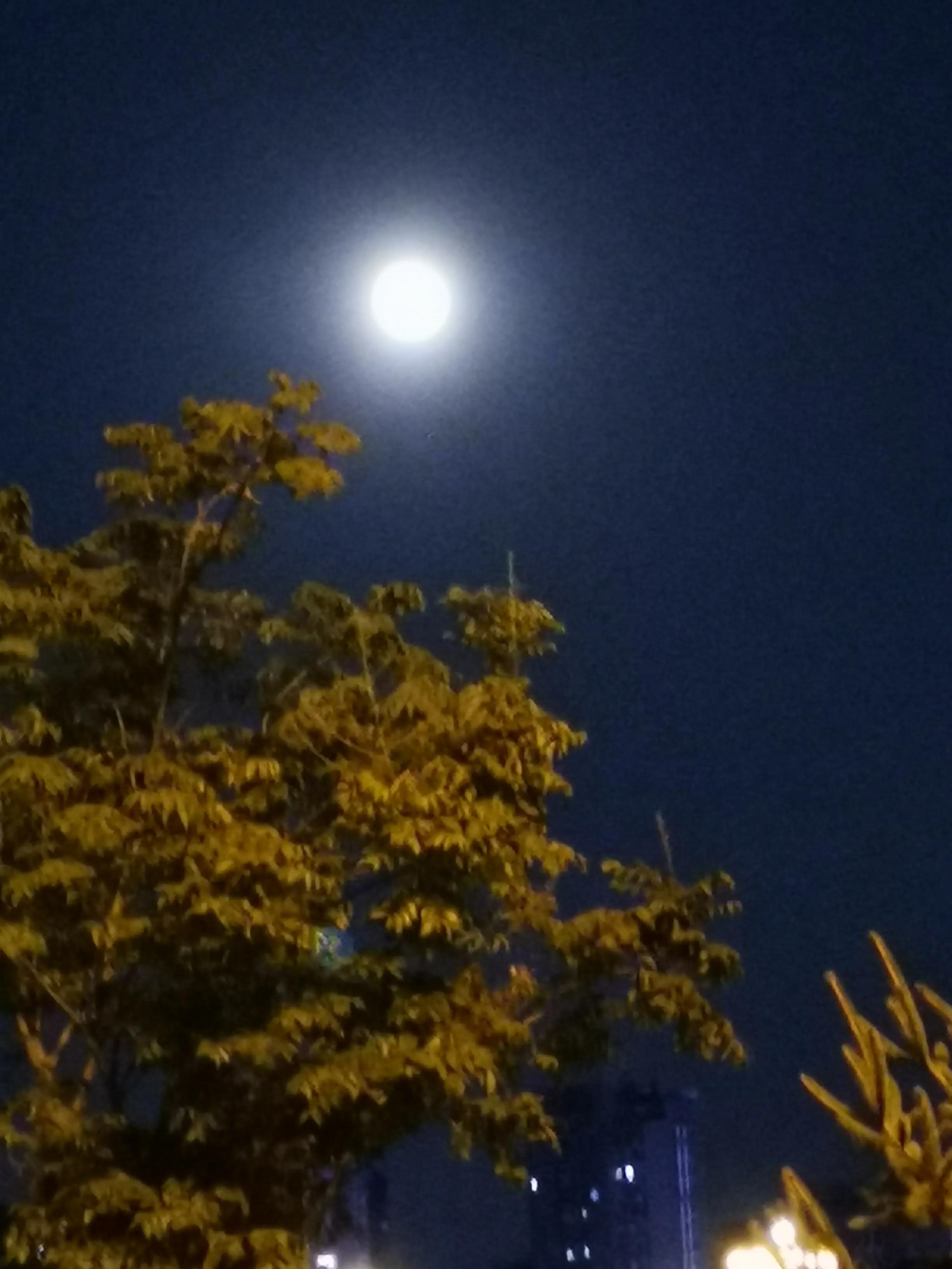 分享你拍下的最美月亮,中秋最美的月亮发朋友圈