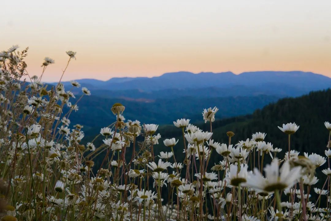 2023年初级考试时间是多少,2022初级考试时间一览表