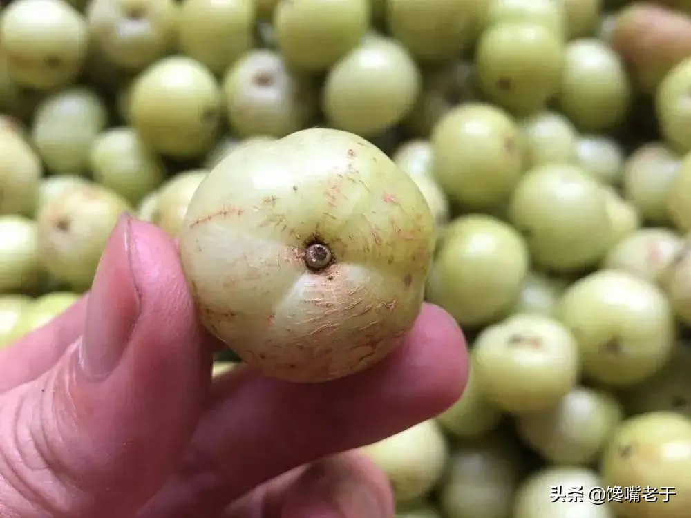 7月吃什么水果最好,七月吃什么水果有营养