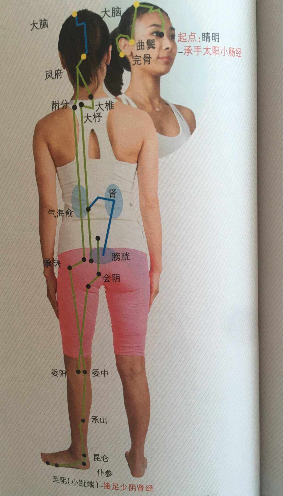 中医扎针治疗偏头痛,夹脊脉冲电针疗法