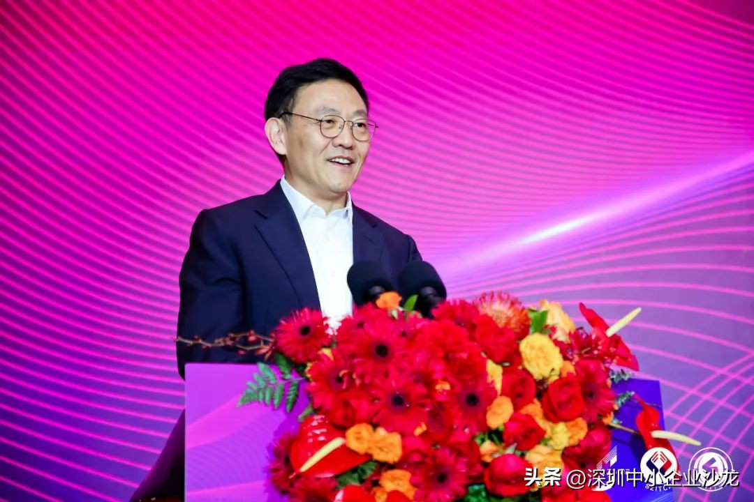 深圳专精特企业排名,深圳专精特新小巨人企业