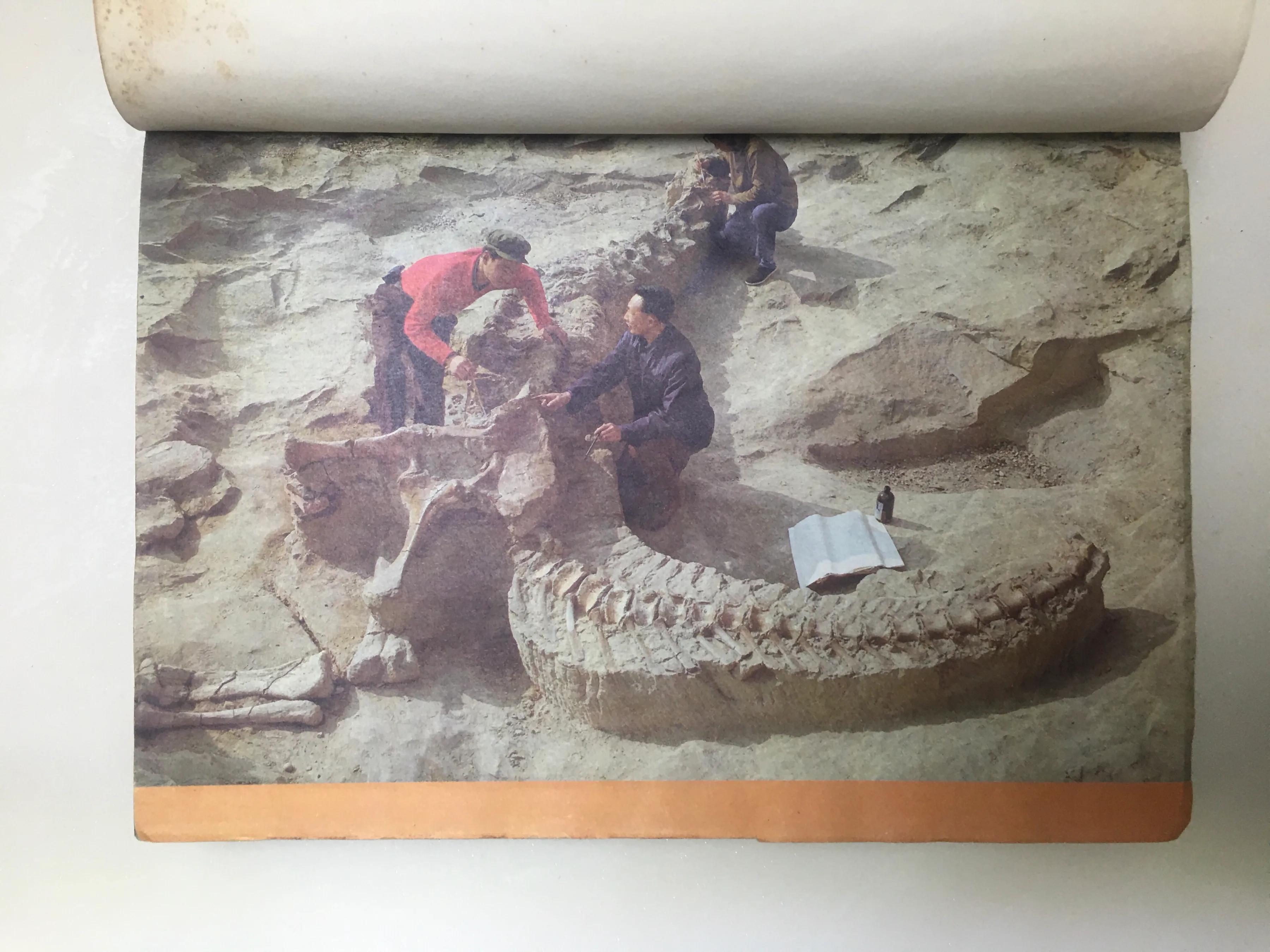 八十年代科普实验,80年代科学实验杂志