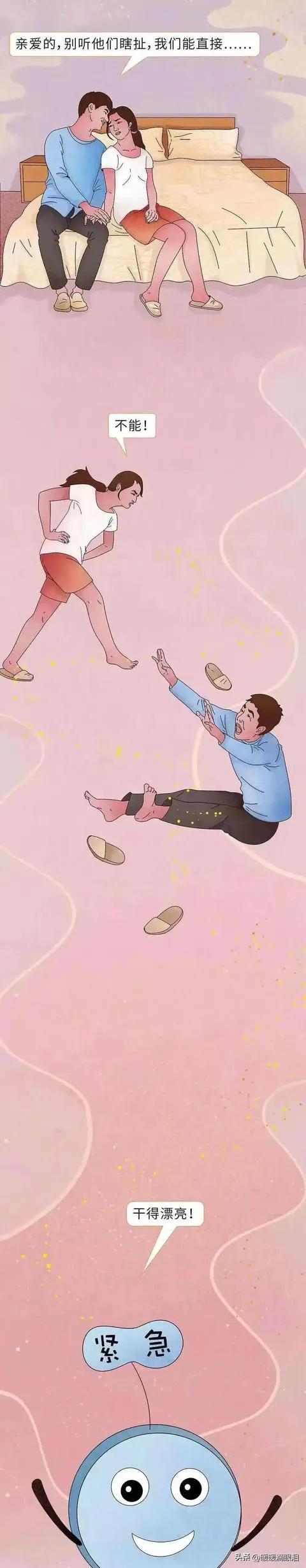 男女性知识科普,成人男性怎么了解性教育