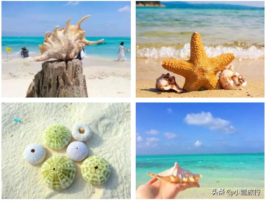 快看！西沙游轮航线有变化！长乐公主号游轮最新行程出炉