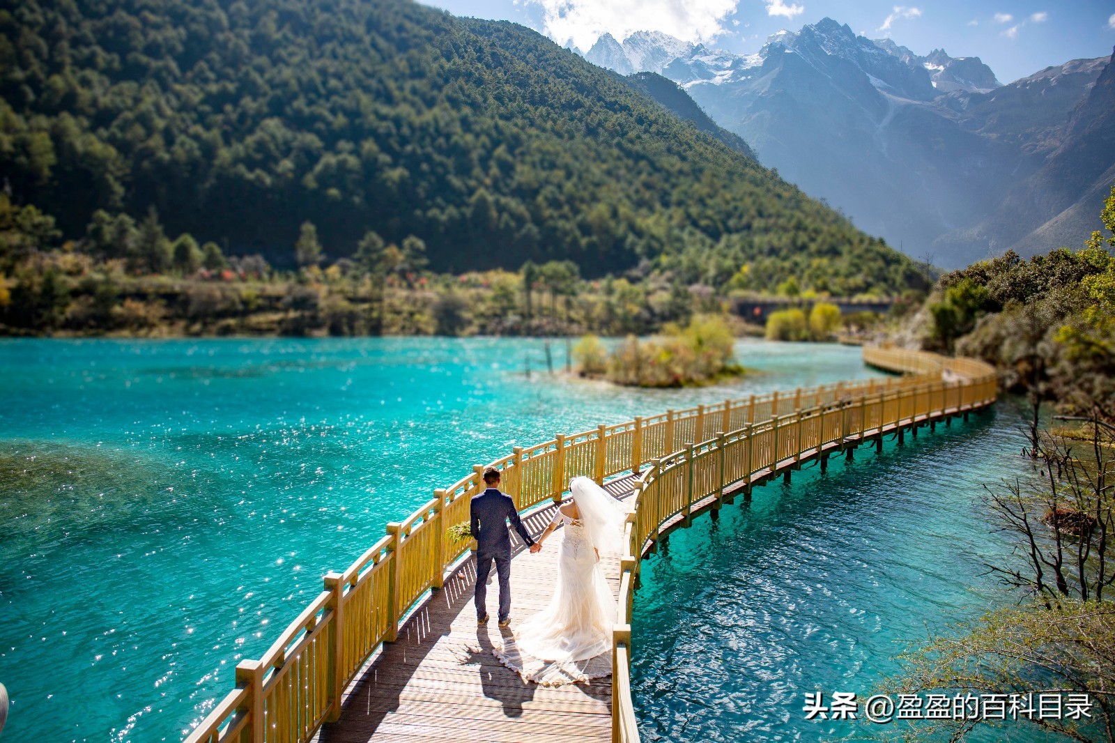 国内适合旅行结婚,有哪些适合旅行结婚的国家