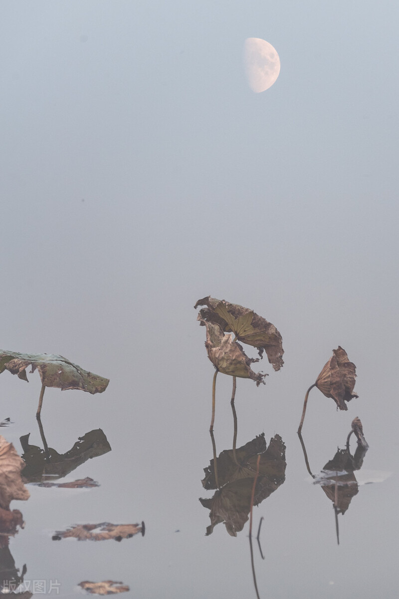 小学语文三年级下册必背古诗,小学语文考编必背古诗汇集朗读