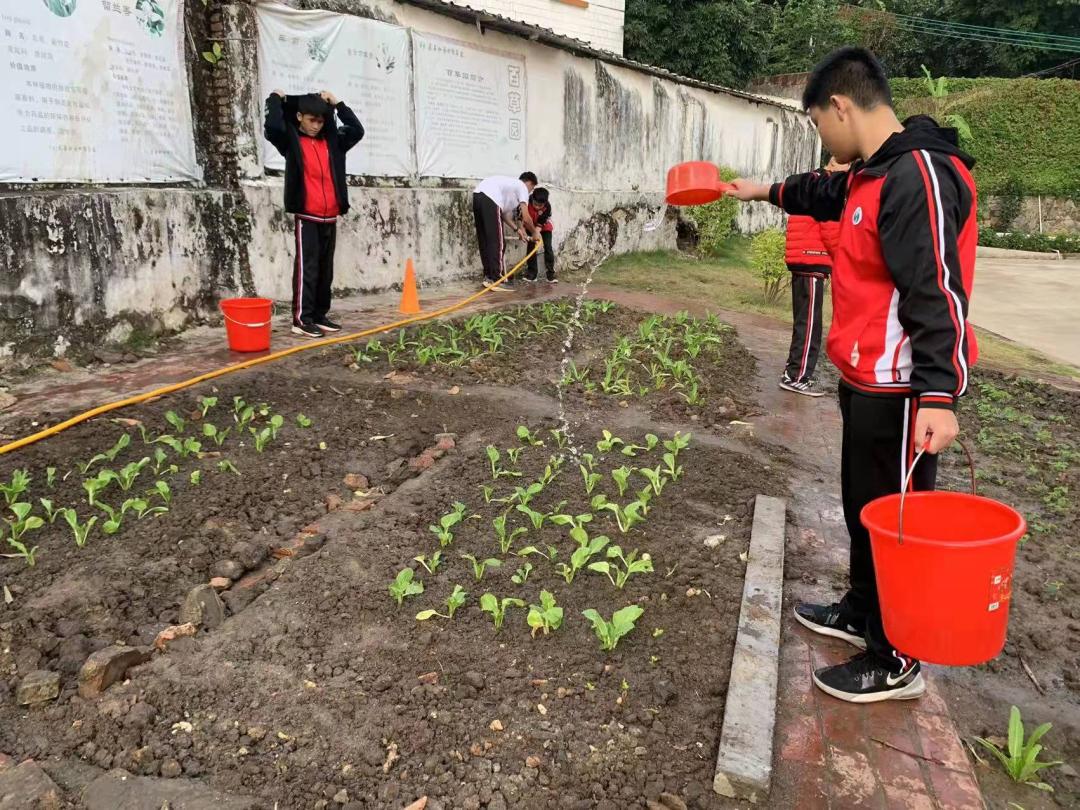 双减优秀案例从哪几个方面写,双减作业案例获奖范文