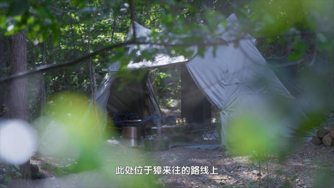 9.6分还在涨，国综又双叒输给韩国了