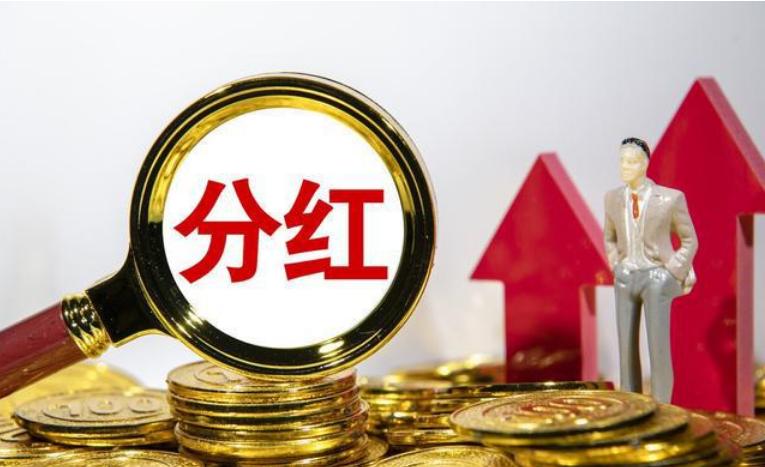 股东分红分的是哪部分利润,年底股东分红怎么分