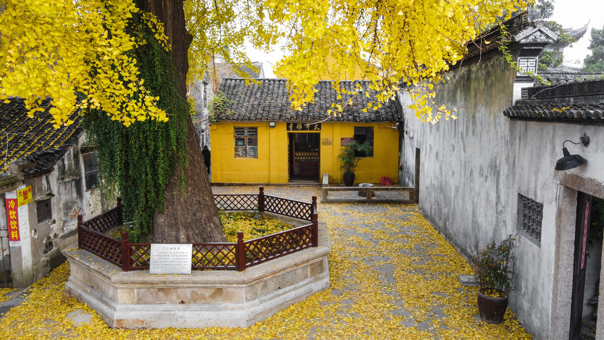 秋天的苏州必去的景点,苏州秋天小众景点推荐