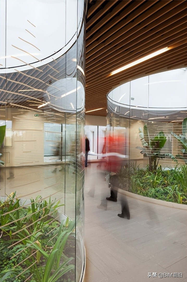 鍥藉鍖荤枟璁捐,鍥藉鍖荤枟璁捐妗堜緥