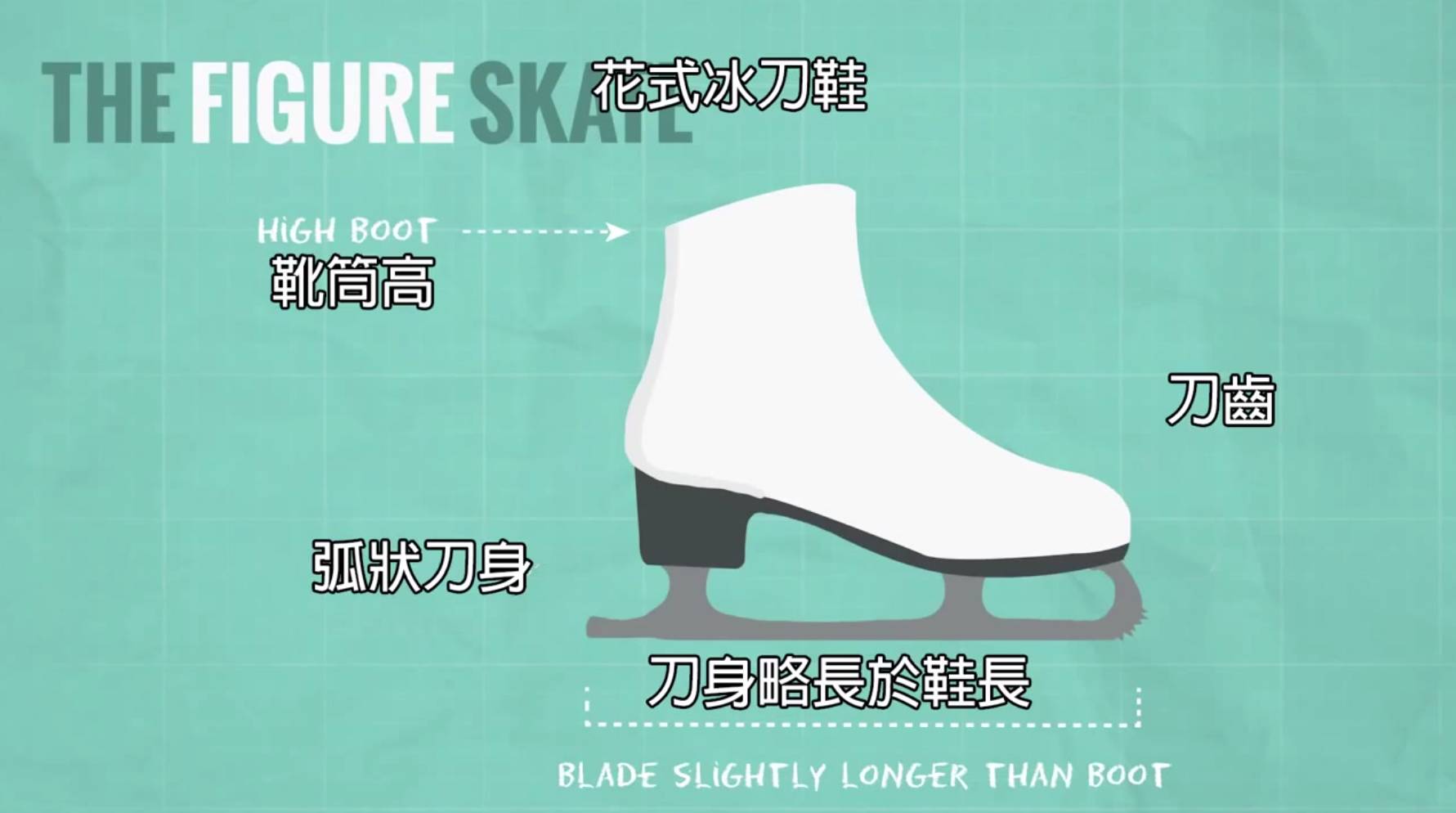 北京冬奥会速滑设备,冬奥会冰刀速滑视频