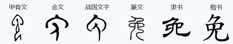 兔年说兔事内涵,兔年说兔