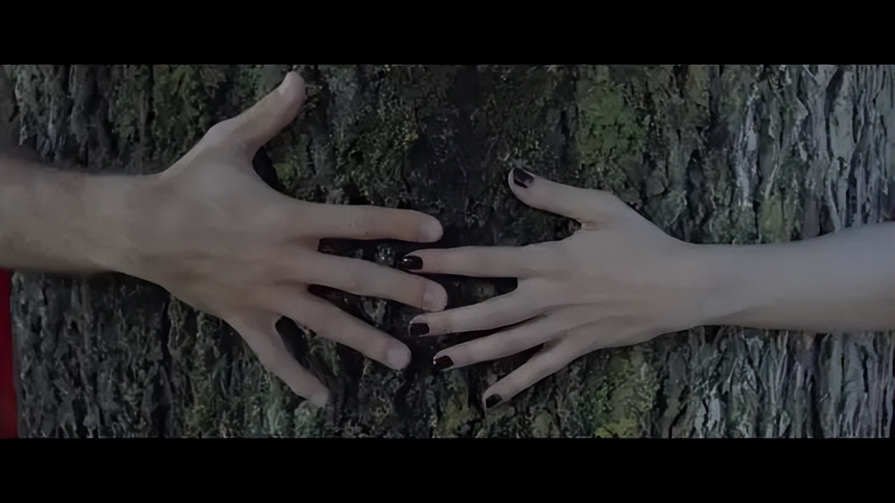 可以反复刷10遍的好片推荐,值得刷n遍的电视剧电影