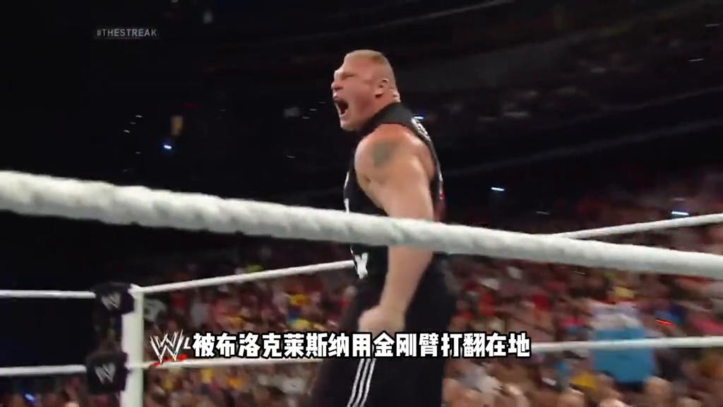 布洛克莱斯纳终结送葬者图片,布洛克vs送葬者摔角狂热集锦