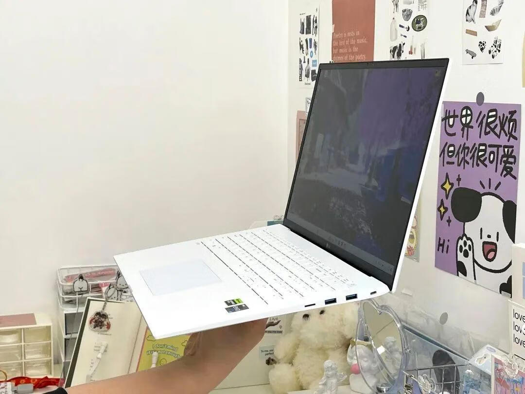 lg笔记本gram15.6寸,大屏轻薄本lg