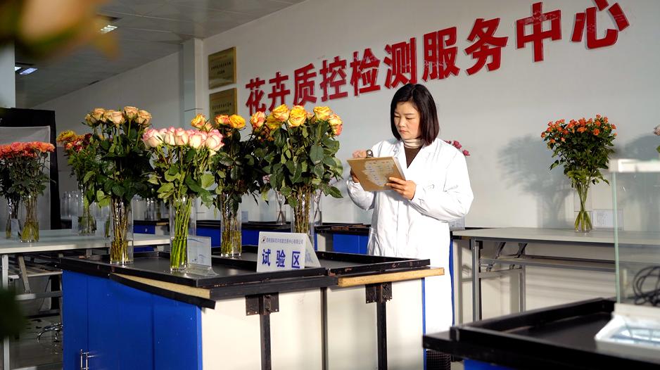 美丽云南第二季镇雄,美丽云南呈贡