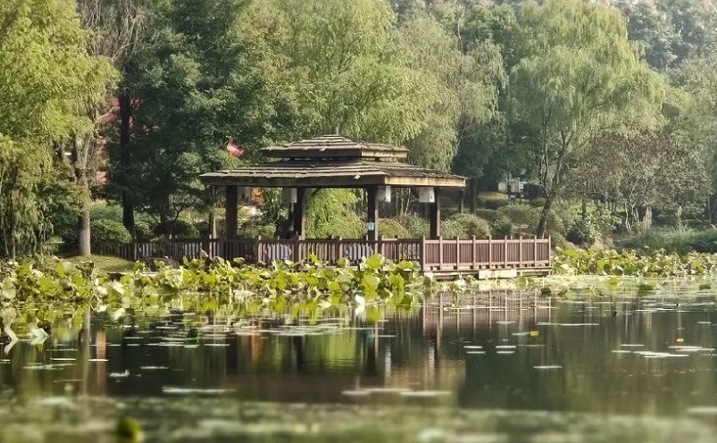 南京栖霞区免费游玩景点推荐,南京一百个免费景点