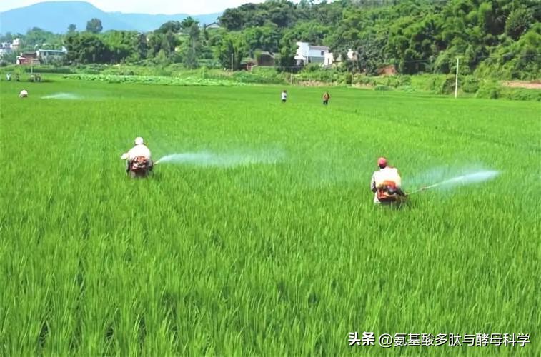 看破！氨基酸产品稳定性问题背后的真相，请谨慎选购