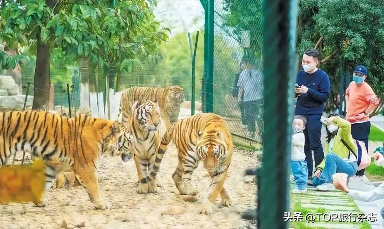 长沙遛娃游玩,长沙遛娃月亮岛