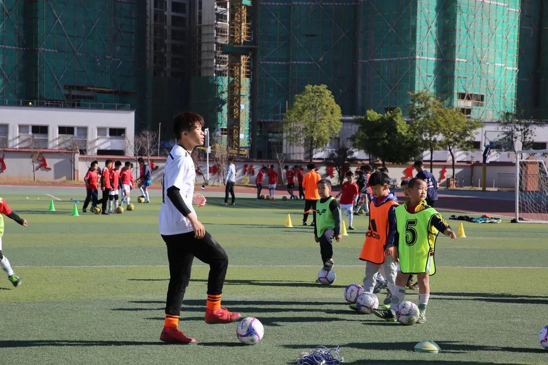 我为群众办实事学习教育主题活动,我为群众办实事教育视频