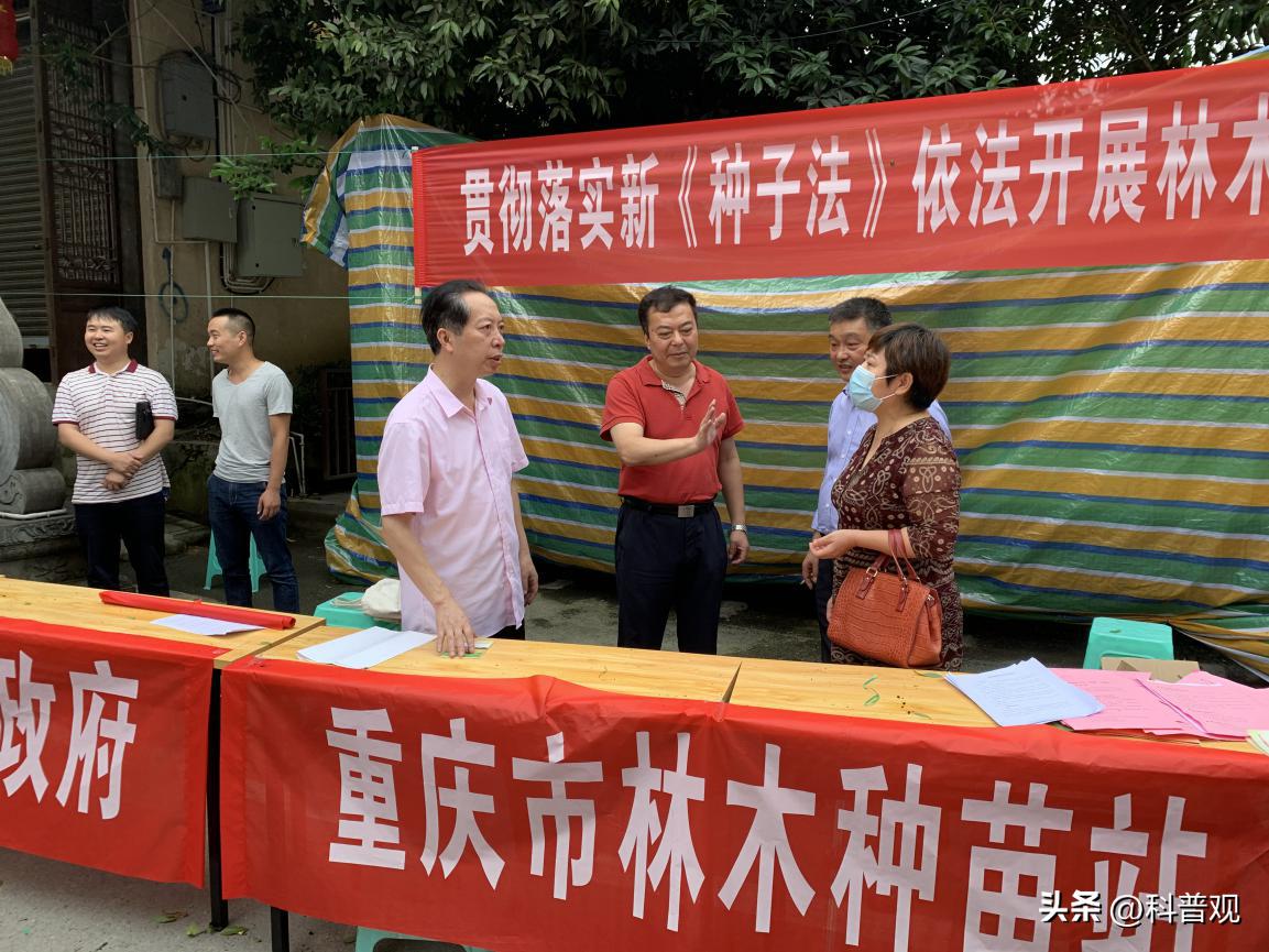 日本垄断中国市场百分之多少,日本垄断的西兰花