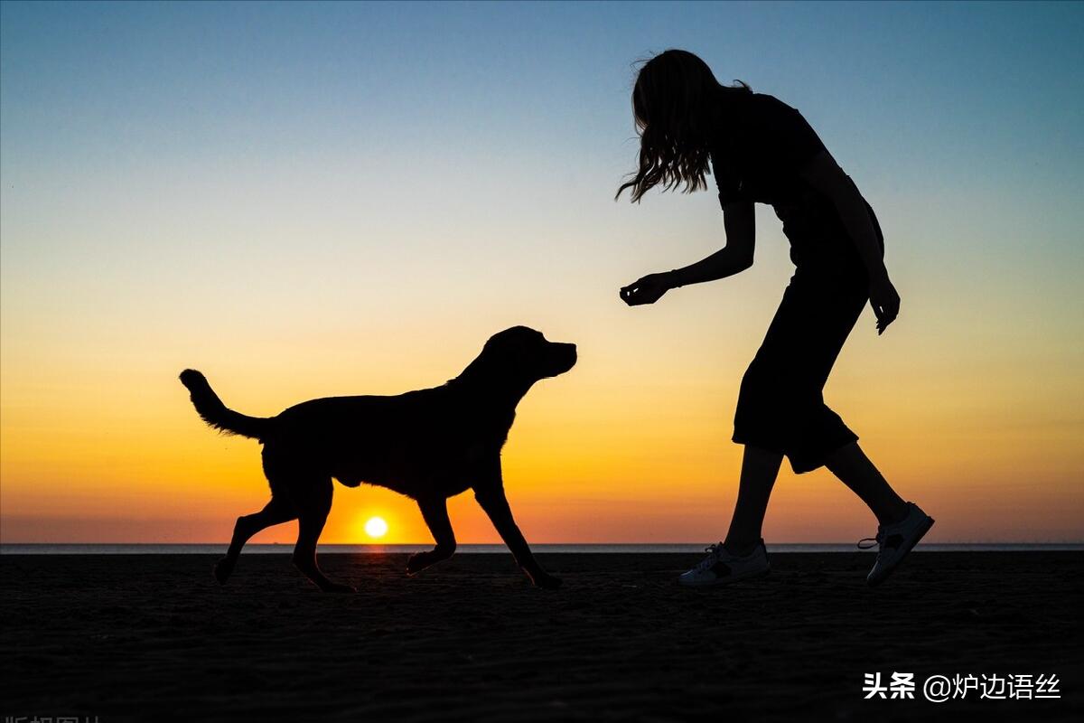 林夕我本人歌词解析,林夕作曲的约定