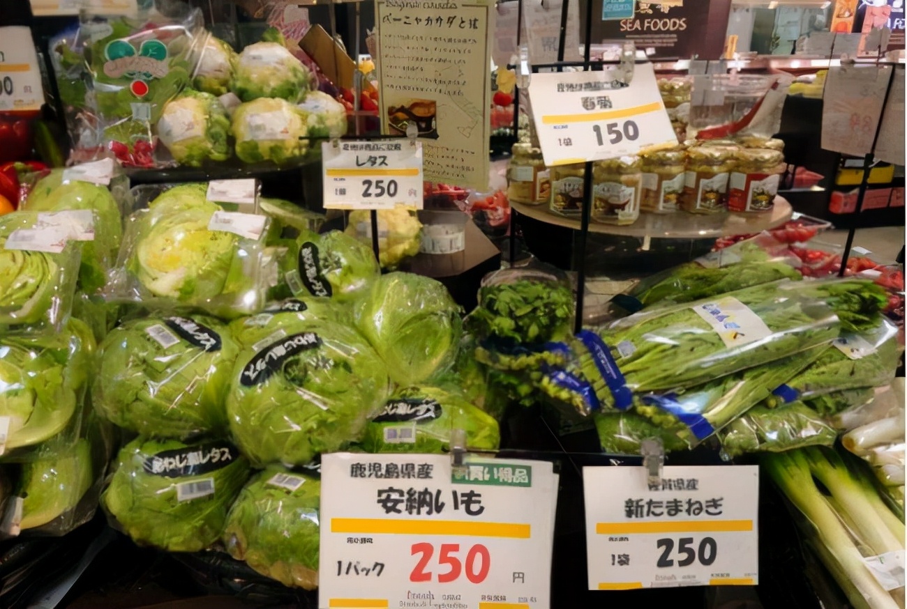 普通日本人月收入,日本的普通人月收入大概多少