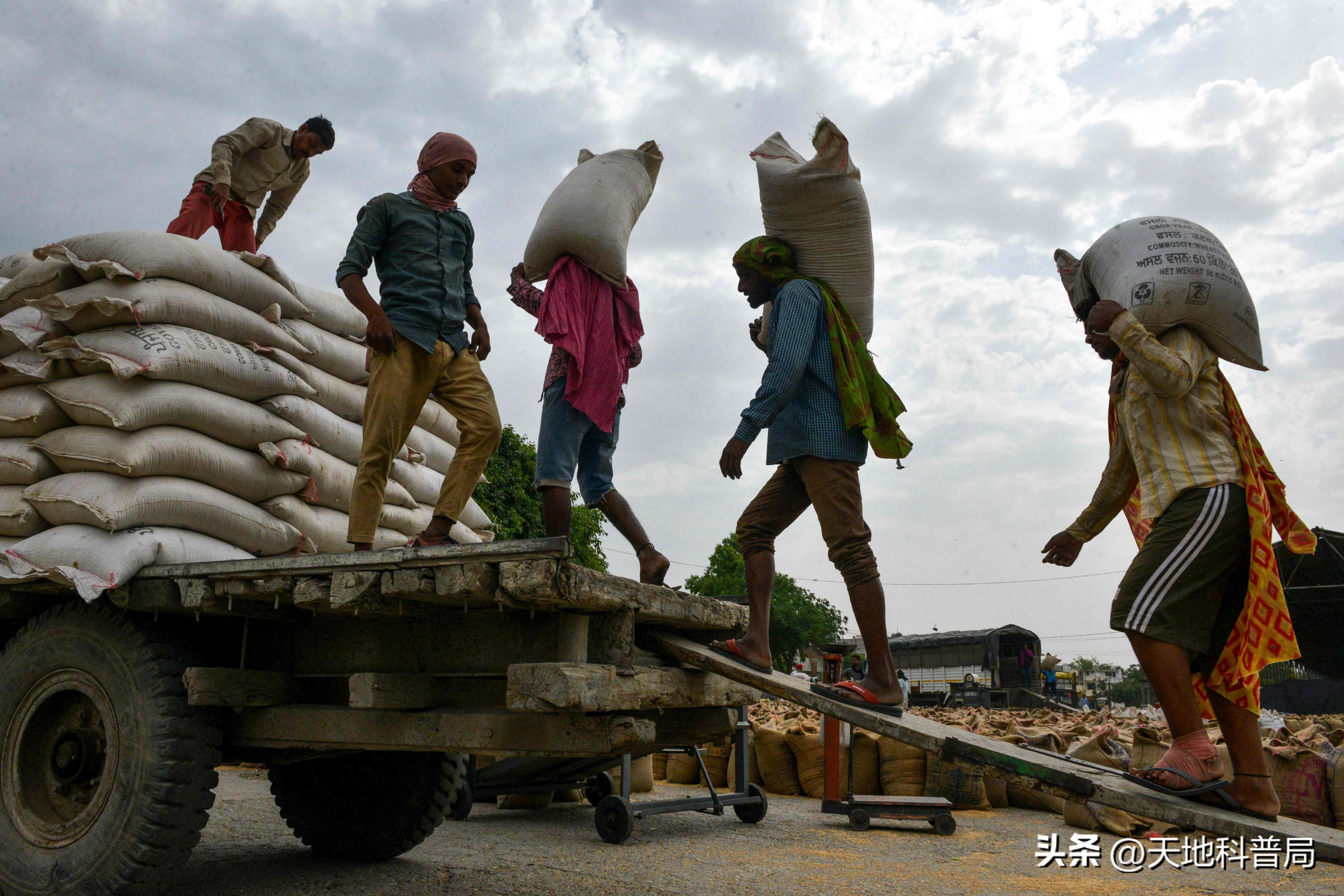 印度富士康最新现状分析,深度分析印度富士康