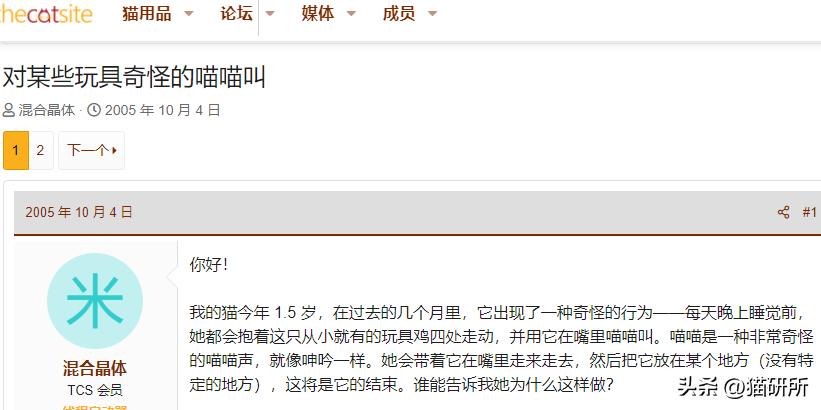 猫咪为啥叼着玩具嚎叫?谷歌569万搜索解密...
