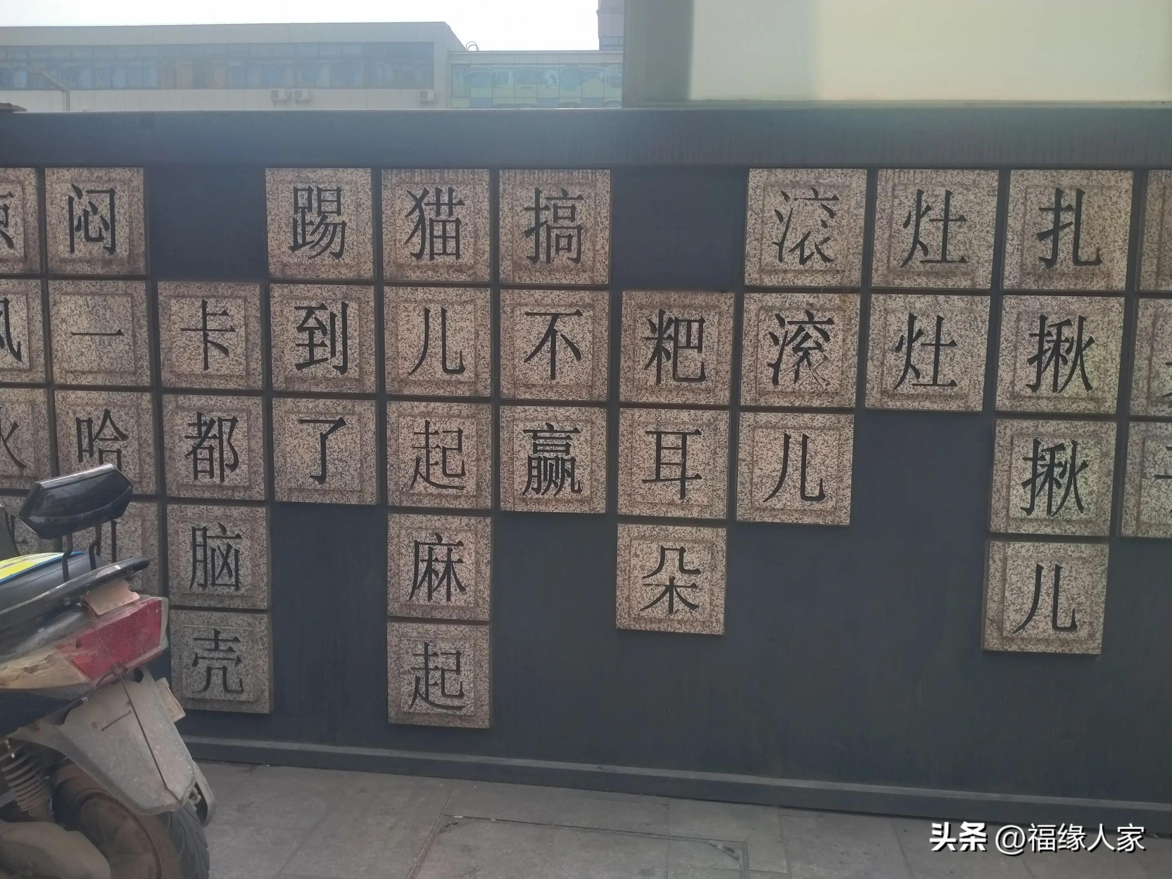 天不怕地不怕就怕蔡少芬讲普通话,什么都不怕就怕四川人说四川话