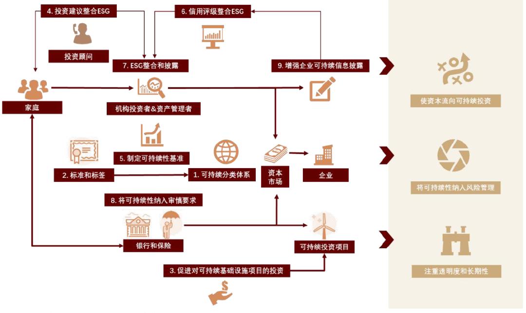 涓噾ibd缁勭粐璋冩暣,涓噾esg閮ㄩ棬