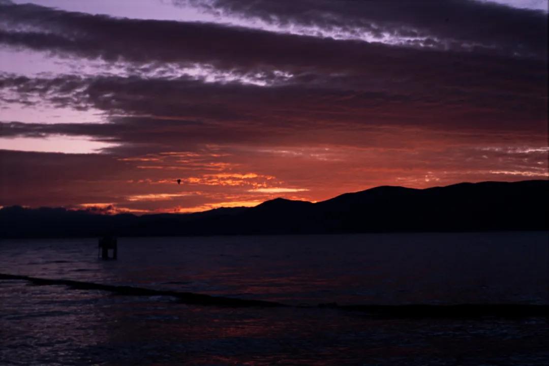 dazz复古胶片相机 (有哪些好看又便宜的复古胶卷相机)