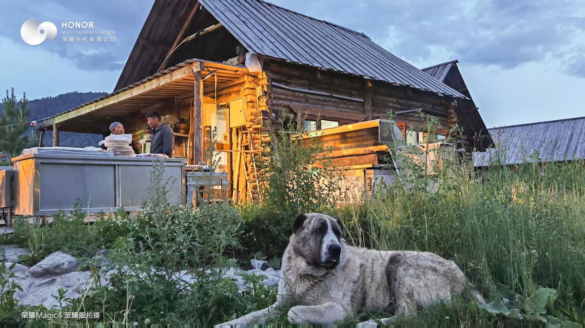太美了吧！荣耀手机影像计划携手南航遇见“人间仙境”*疆新**