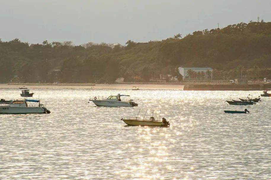 这座岛究竟有何神奇之处,怎么玩海陵岛不踩坑