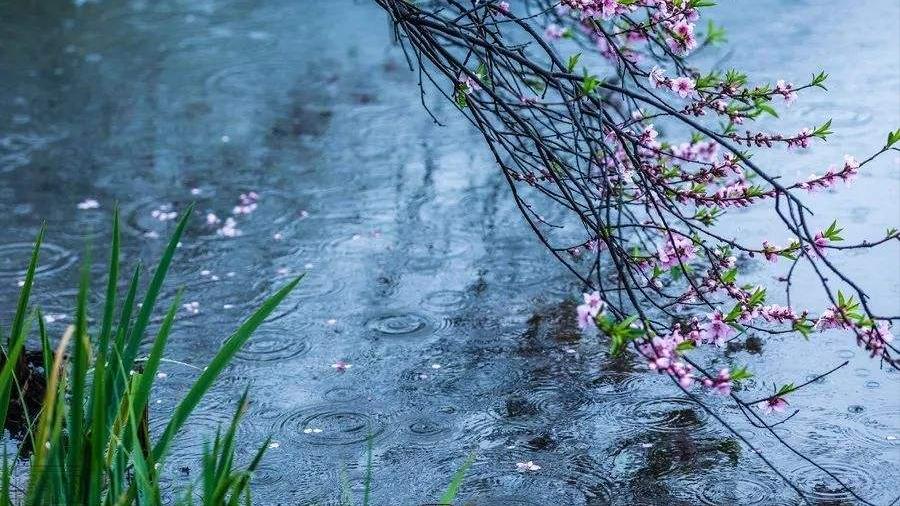 关于桃花和春水的诗句,三十六首经典桃花诗词