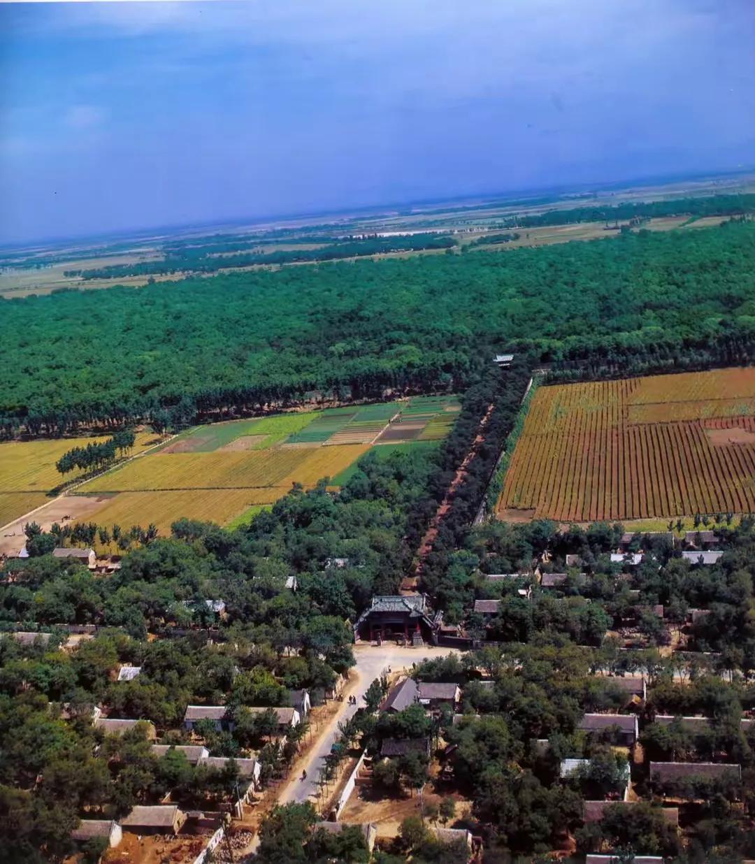 曲阜三孔纪行（作者：刘长玉）