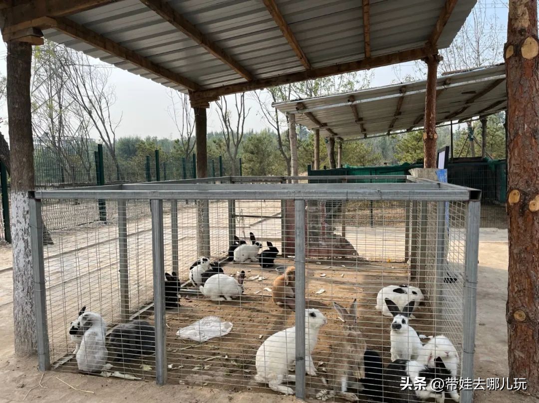 藏在二环的超小众免费公园,免费游玩的小公园