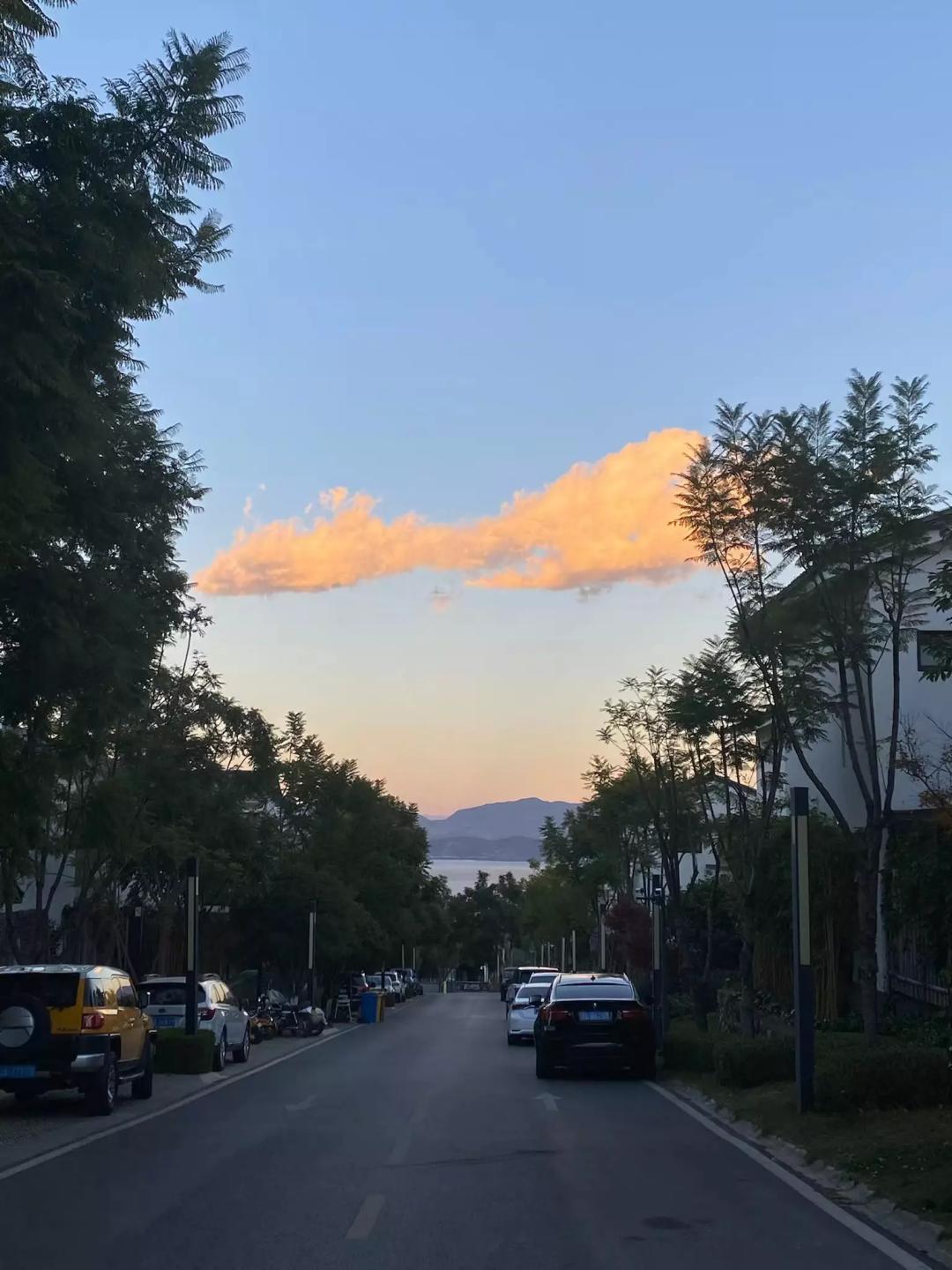 广州的大学生上网课,00后大学生去学校