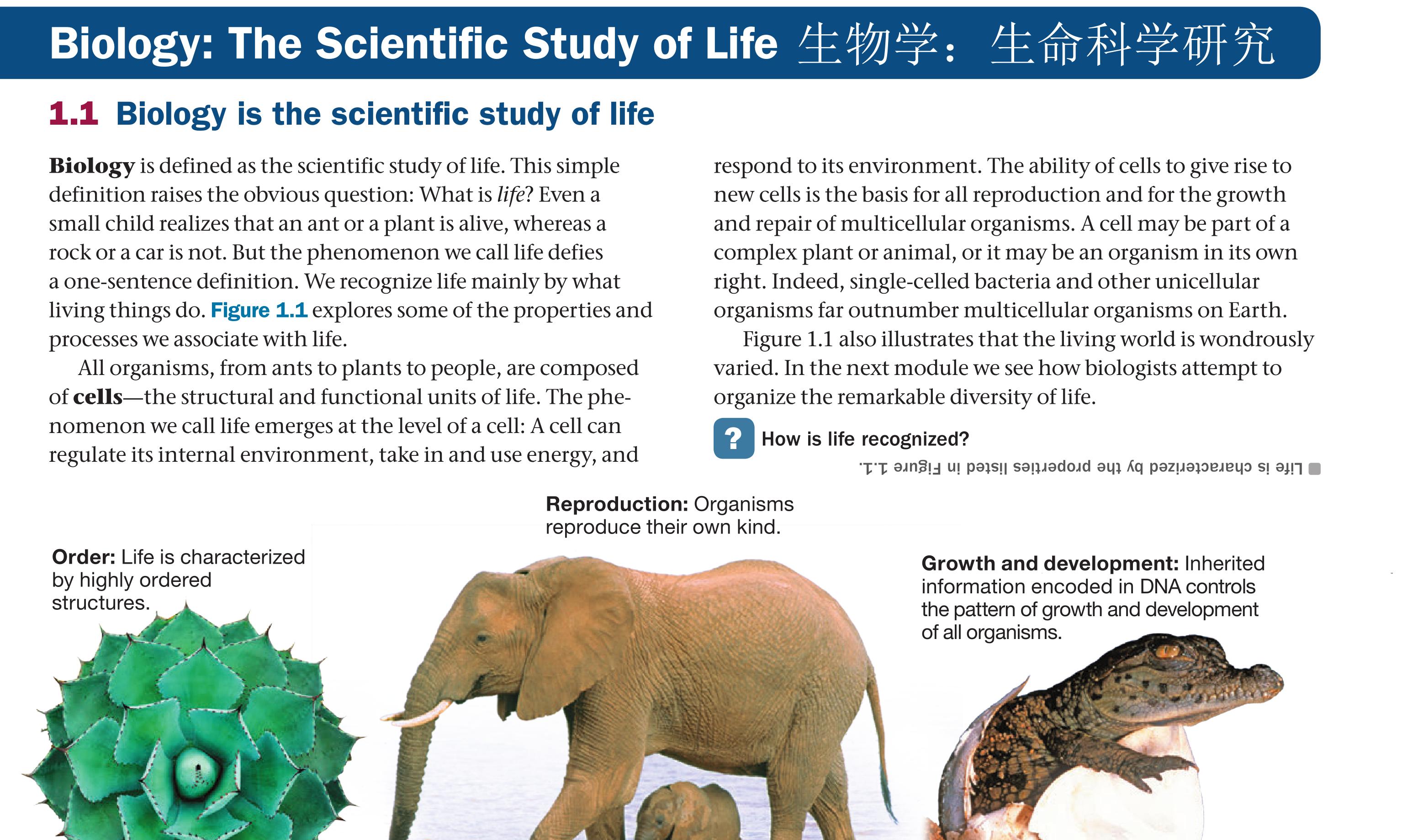 英语一周七天单词快速记忆,中小学生单词速记