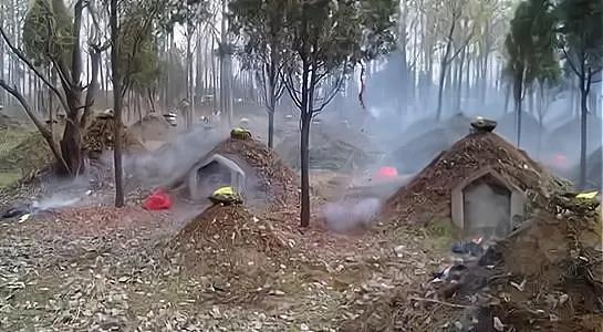 坟地被树遮阴好吗,坟头有树遮阴风水好不好